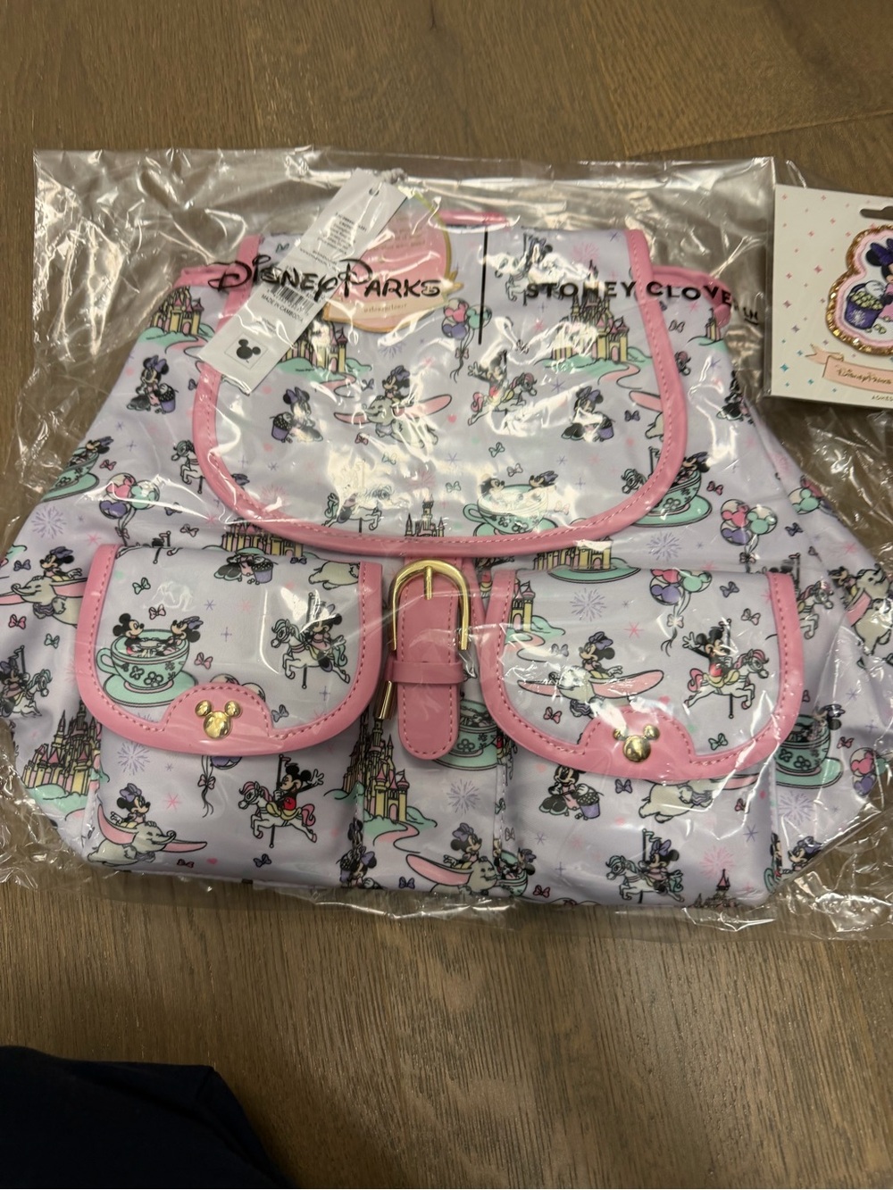 Disney x Stoney clover lane Disney rides Backpack & patch NWT